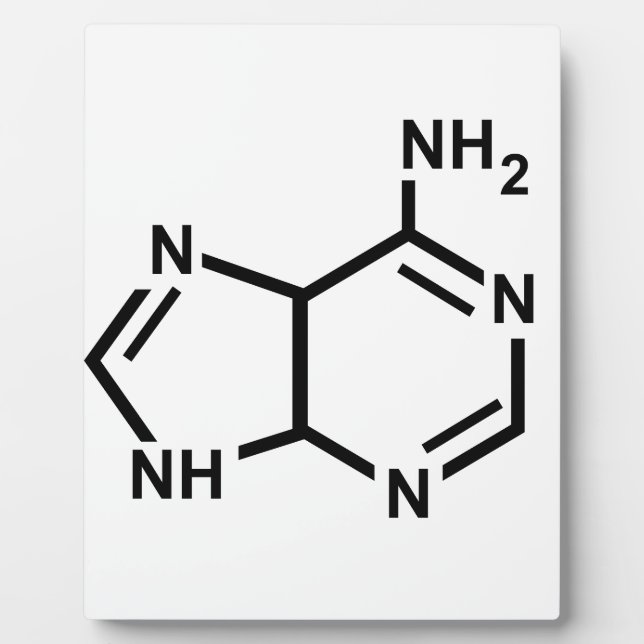 Adenin Fotoplatte (Vorderseite)