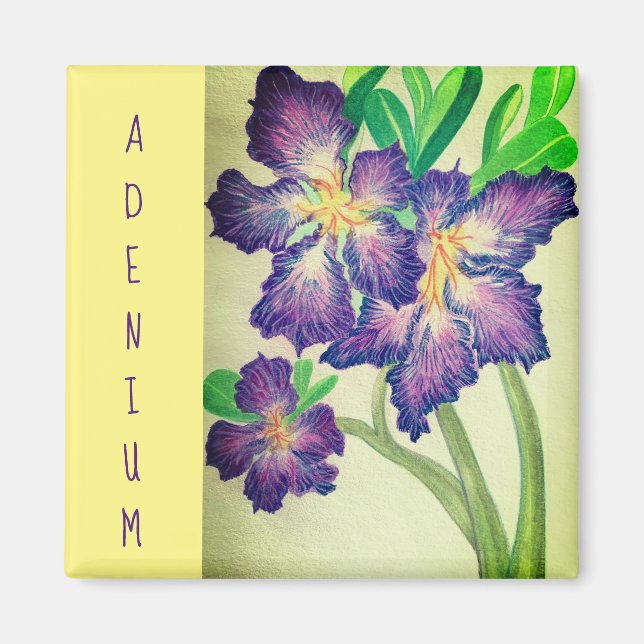 Adenium Magnet (Vorne)