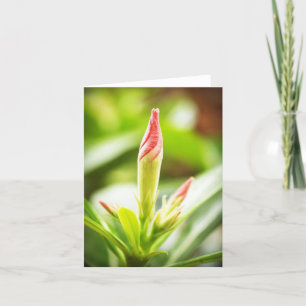 Adenium Notecard Dankeskarte
