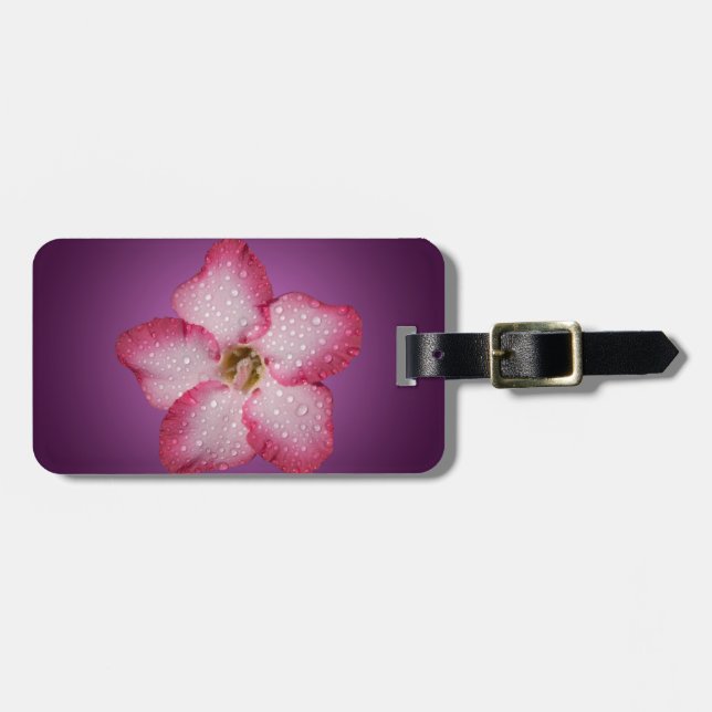 Adenium Pink Blume Flora Gradient Violett Gepäckanhänger (Vorderseite horizontal)