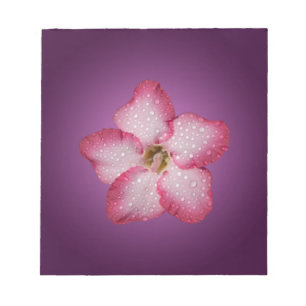 Adenium Pink Blume Flora Gradient Violett Notizblock