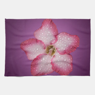 Adenium rosa Blüten Flora Gradient Violett Handtuch