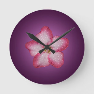 Adenium Rosa Blüten Flora Gradient Violett Runde Wanduhr