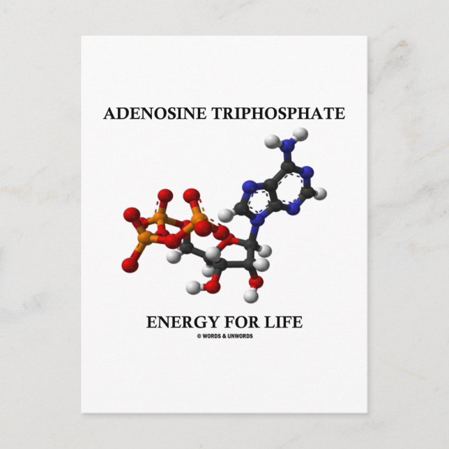 Adenosintriphosphat (ATP) Energie für die Lebensda Postkarte (Vorderseite)