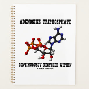 Adenosintriphosphat kontinuierlich Gerecycelt ATP Planer