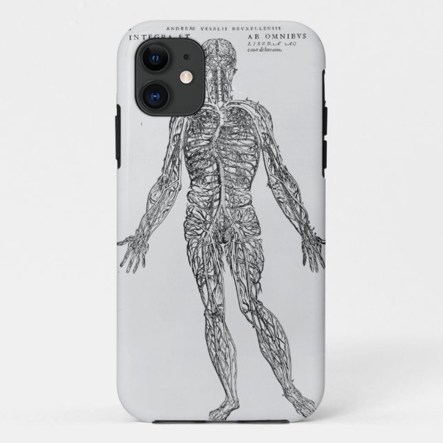 Ader- und Arteriensystem (b/w Druck) Case-Mate iPhone Hülle (Rückseite)
