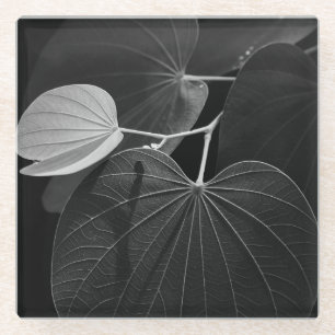 Adern eines Blattes Glasuntersetzer