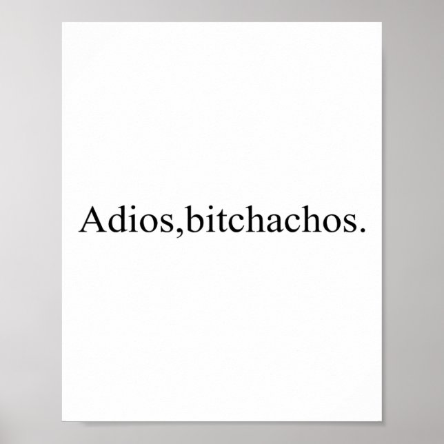 Adios Achos Funny Cinco De Mayo Party Poster (Vorne)