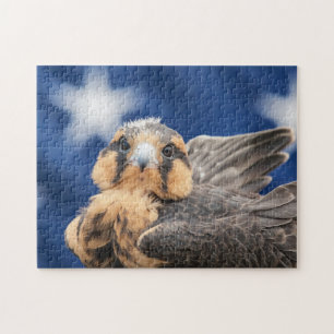 Adiplomado Falcon mit Flagge Puzzle