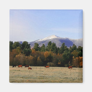 Adirondack Bauernhofmagnet Magnet