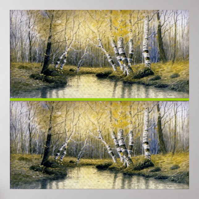 Adirondack Birches Poster (Vorne)