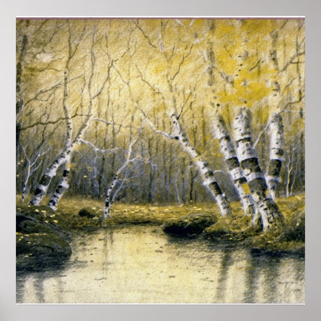 Adirondack Birches Poster (Vorne)