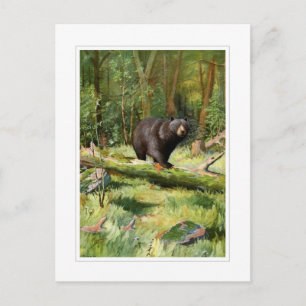 Adirondack Black Bear Postkarte