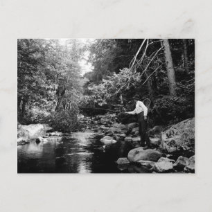 Adirondack-Fliegenfischen Postkarte