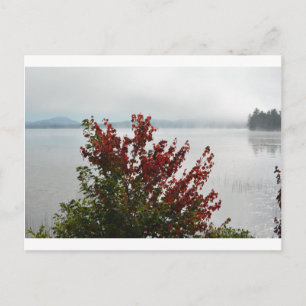 Adirondack Morning Mist Postcard Postkarte