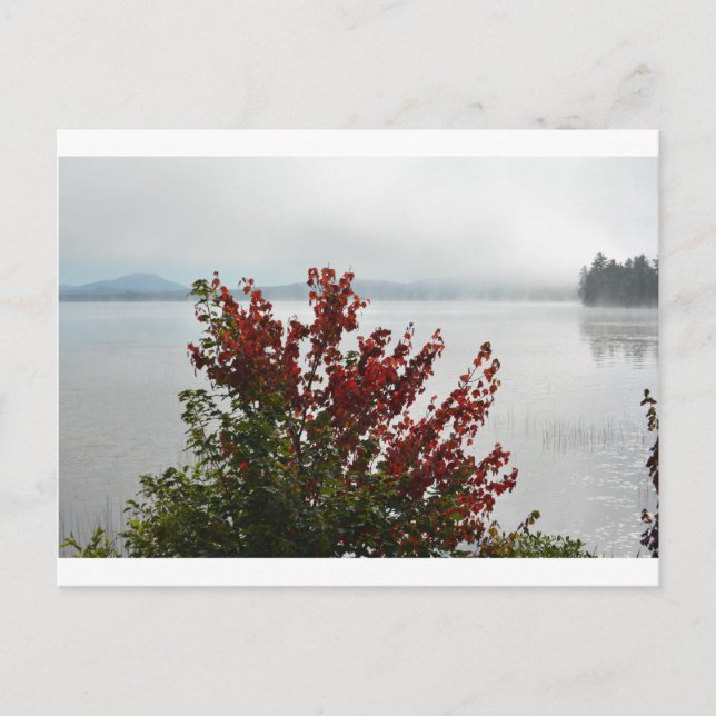 Adirondack Morning Mist Postcard Postkarte (Vorderseite)