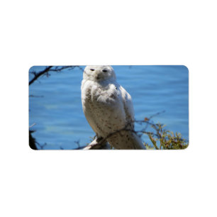 Adirondacks (NY) Snowy Owl Address Labels Adressaufkleber