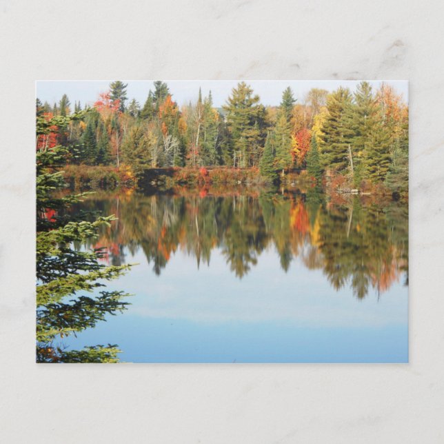 Adirondacks Upper Chub River Autumn Scene Postkarte (Vorderseite)