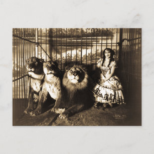 Adjie und die Löwen 1899 Vintager Zirkus Postkarte
