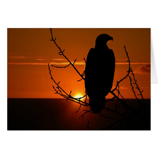 Adler (Vorderseite (Horizontal))