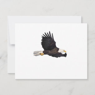 Adler