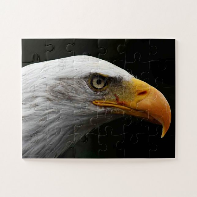 Adler 11x14 30pc jpcn puzzle (Horizontal)