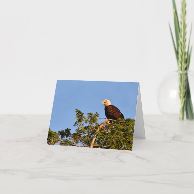 Adler #1 - Blank Note Card Dankeskarte (Vorderseite)