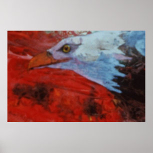 Adler 1 poster