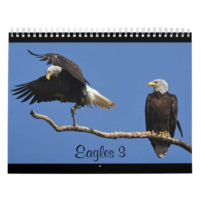 Adler 3 kalender (Titelbild)