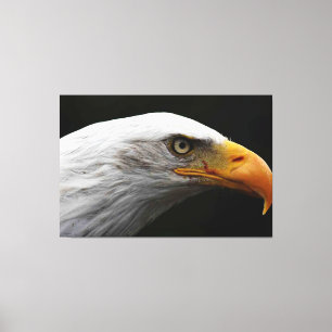 Adler 60 x 40 (150 x 100 cm) Waccnm Leinwanddruck