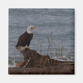 Adler am South Beach Magnet