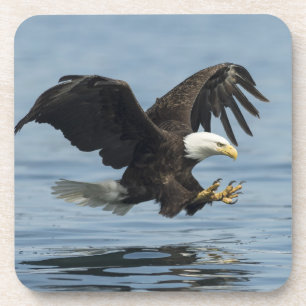 Adler auf Ansatz Getränkeuntersetzer