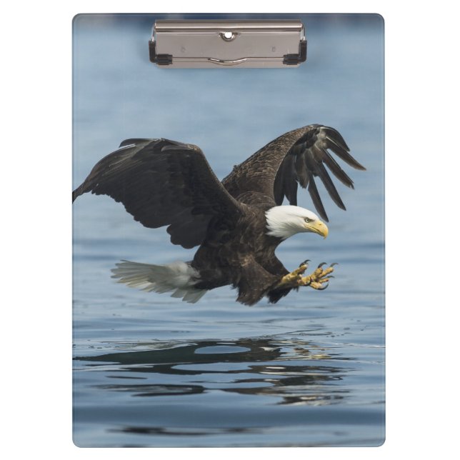 Adler auf Ansatz Klemmbrett (Vorderseite)
