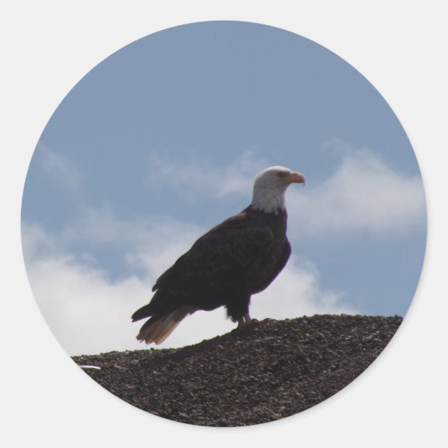 Adler auf Aufklebern Runder Aufkleber (Vorderseite)