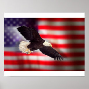 Adler auf dem amerikanischen Flaggenposter Poster