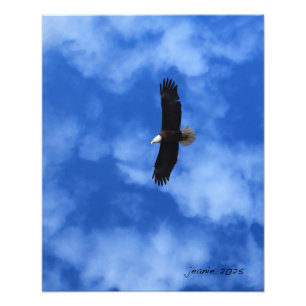 Adler auf dem Flügel Fotodruck