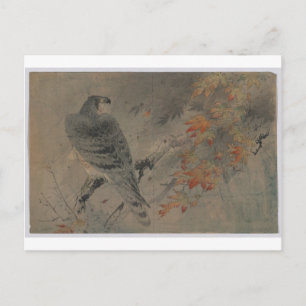 Adler auf einer Ahornzweigung Postkarte