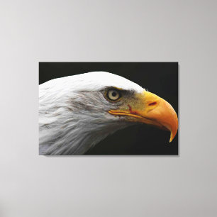 Adler Bald 36x24 (90x60cm) waccna Leinwanddruck