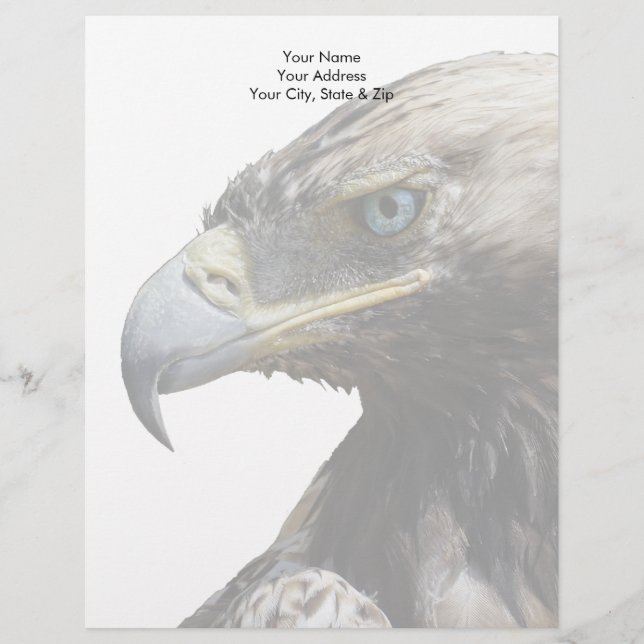 Adler Briefbogen (Vorderseite)