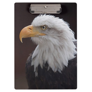 Adler Clipboard Stolz Klemmbrett