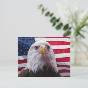 Adler der Amerikanischen Bald und die amerikanisch Postkarte