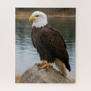 Adler der stillen Küsten Puzzle