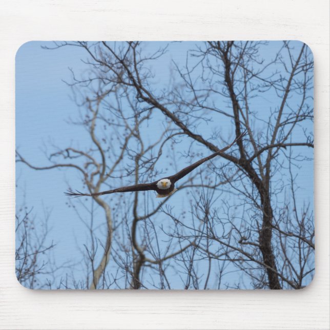 Adler direkt mousepad (Vorne)