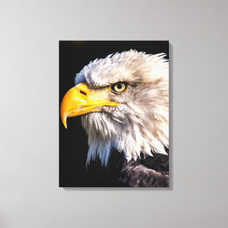 Adler Eagle Canvas Print Leinwanddruck