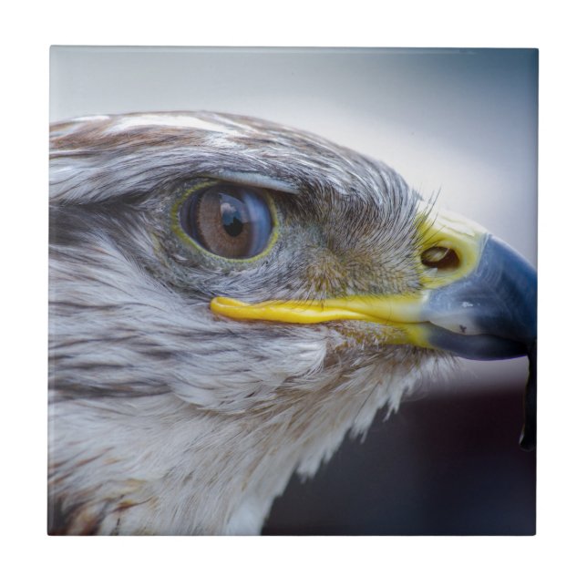 Adler Fliese (Vorderseite)