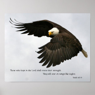 Adler-Foto mit Bibel-Vers Poster