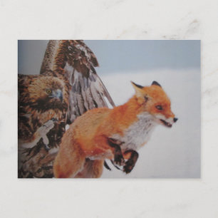 Adler-Fuchs-Kampf - Postkarte