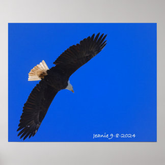 Adler gegen einen blauen Himmel Poster