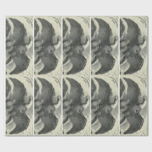 Adler Geschenkpapier