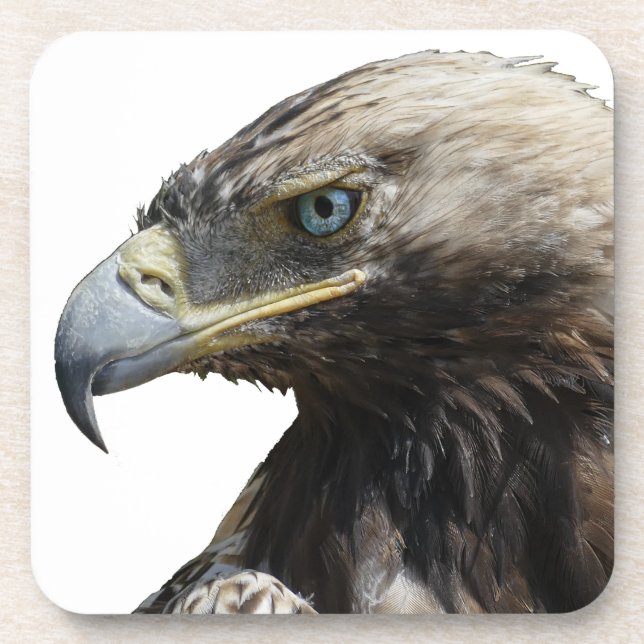 Adler Getränkeuntersetzer (Vorderseite)